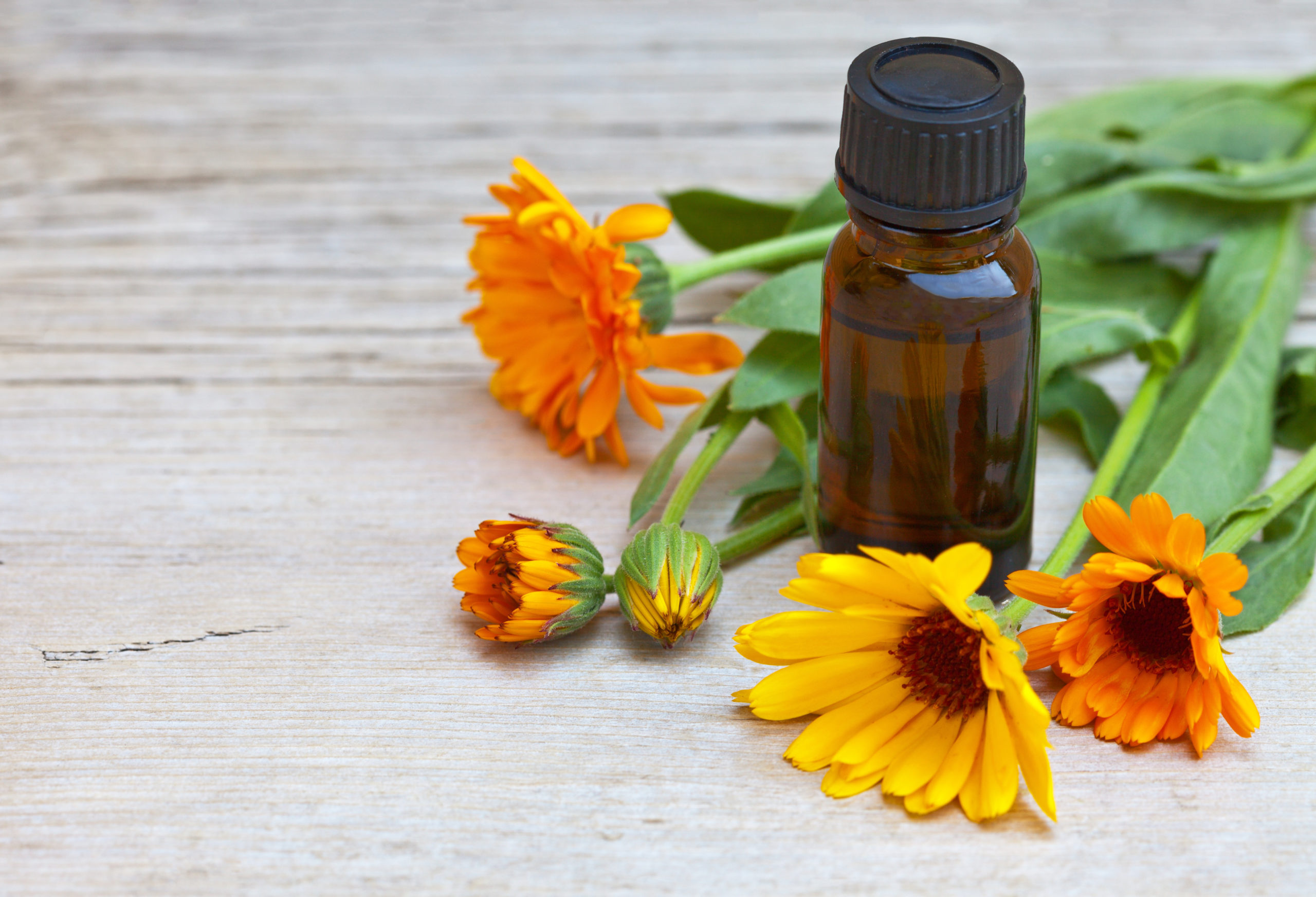 Healing bright calendula flowers and a vial with a medicinal tincture based on a marigold plant. Place for text. Close-up view